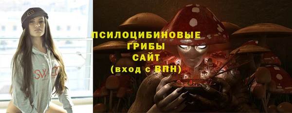 spice Абаза