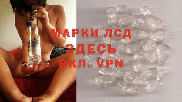 стаф Абинск