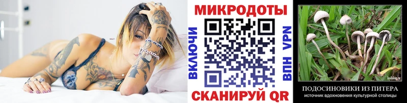 Псилоцибиновые грибы Magic Shrooms  Ангарск 