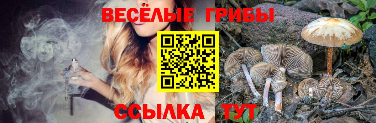 Галлюциногенные грибы MAGIC MUSHROOMS Ангарск